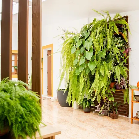 Casa Da Avo Guilhermina בית נופש