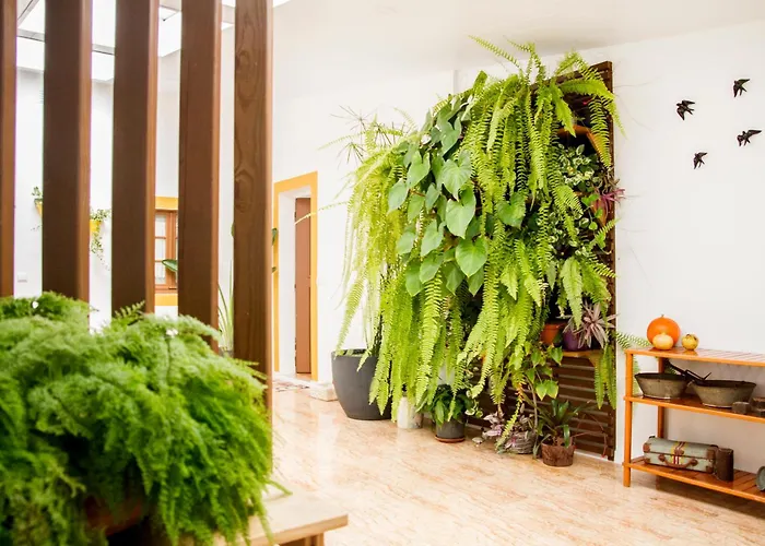 Casa Da Avo Guilhermina 別荘